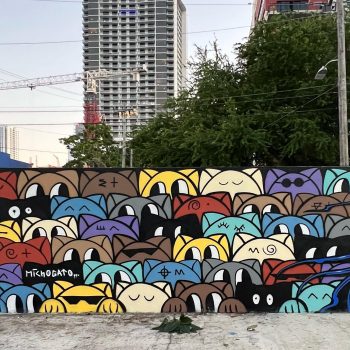 Michogato en Miami